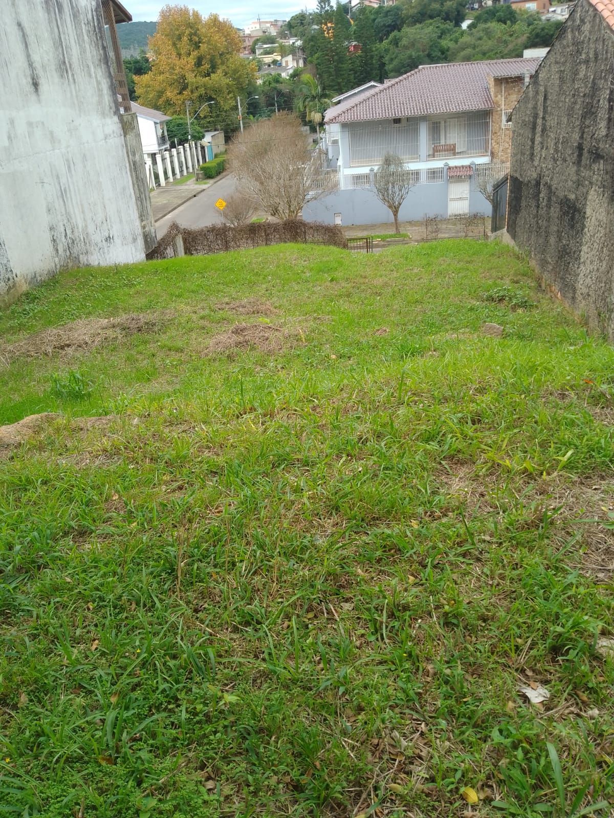 🌳 Excelente Terreno à venda — foto 1