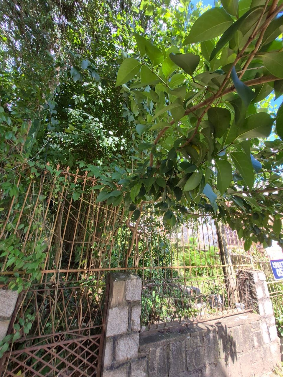📍 EXCELENTE OPORTUNIDADE DE TERRENO – LOCALIZAÇÃO ESTRATÉGICA! — foto 16
