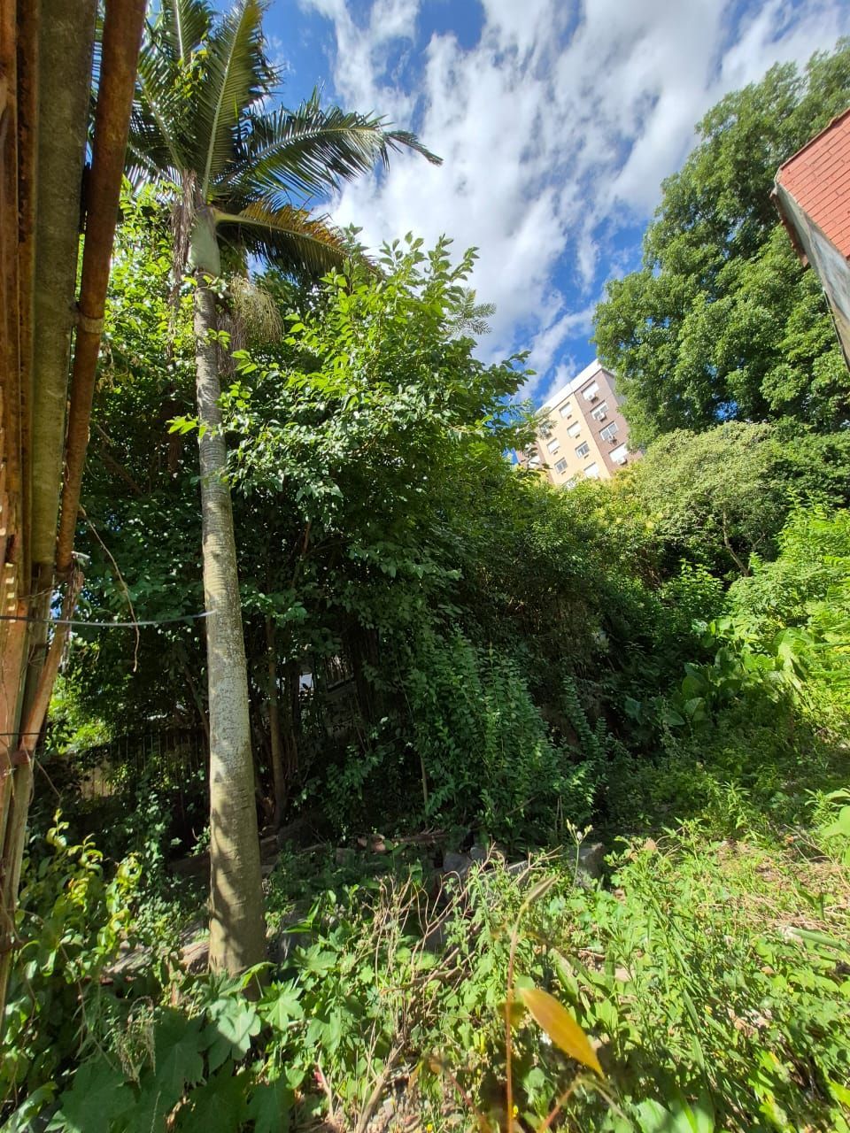 📍 EXCELENTE OPORTUNIDADE DE TERRENO – LOCALIZAÇÃO ESTRATÉGICA! — foto 23
