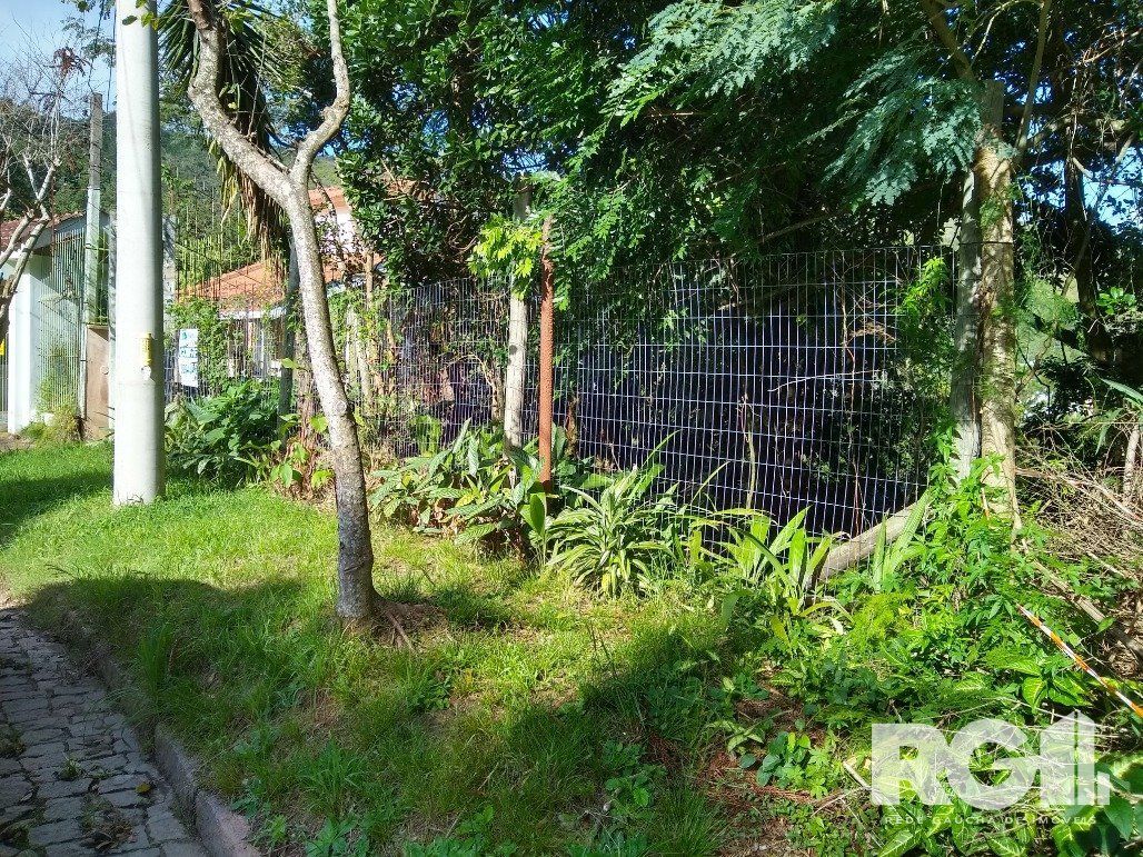 Amplo Terreno na Vila São Caetano/Teressópolis — foto 7