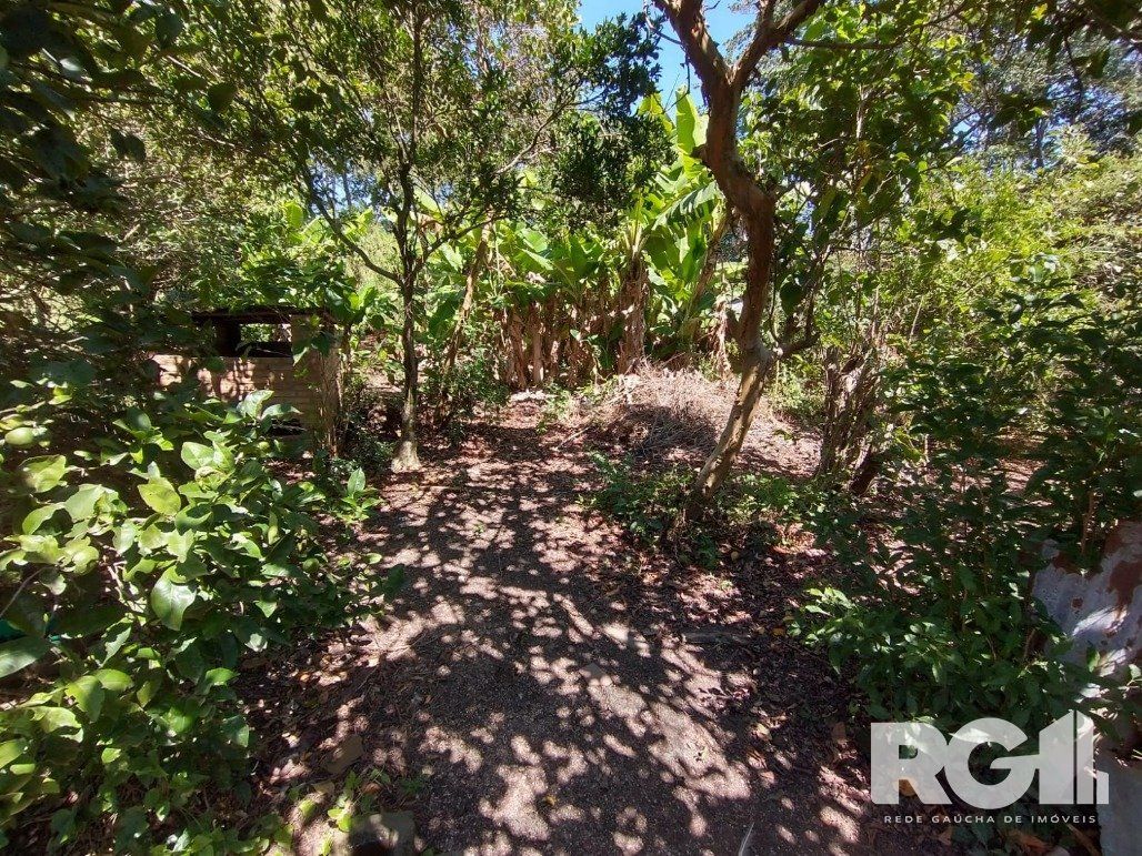 Excelente Sítio na Capital de 6.737,57 m2, Bairro Lami, Porto Alegre RS — foto 8
