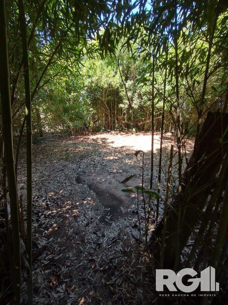 Excelente Sítio na Capital de 6.737,57 m2, Bairro Lami, Porto Alegre RS — foto 16