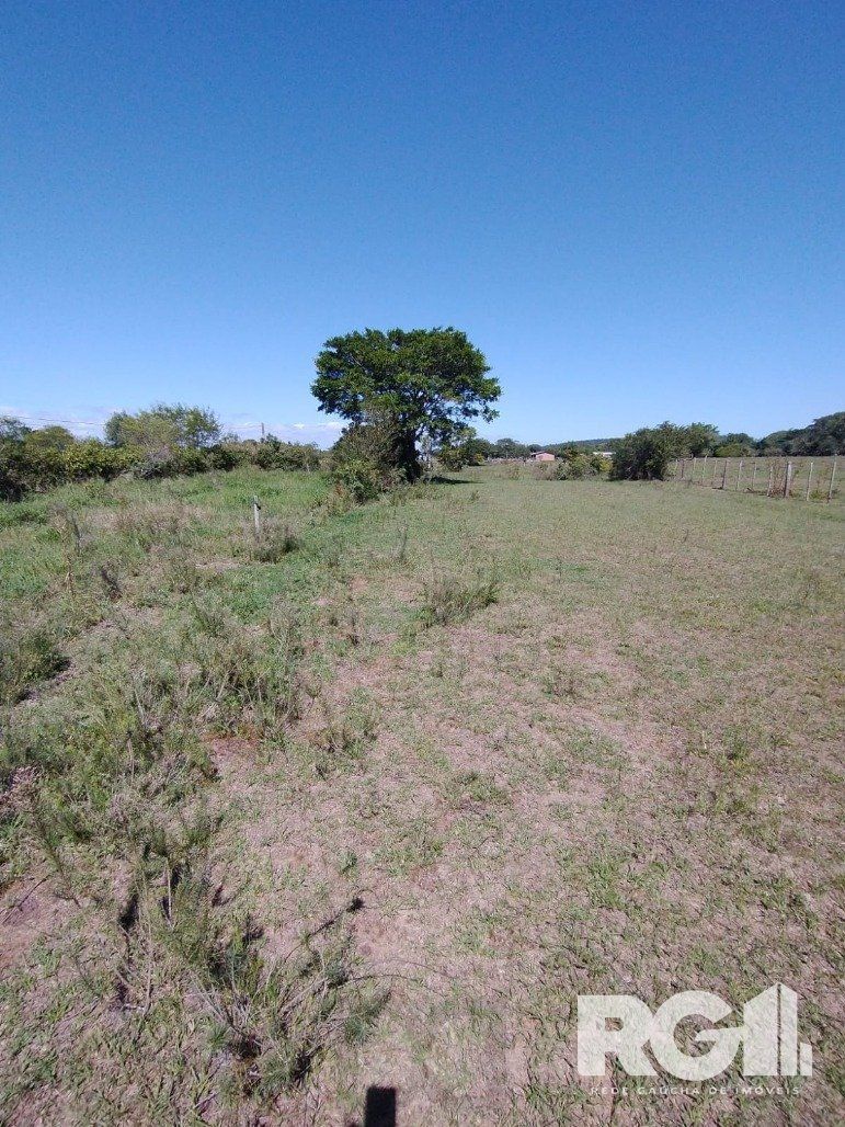 Excelente Sítio na Capital de 6.737,57 m2, Bairro Lami, Porto Alegre RS — foto 11