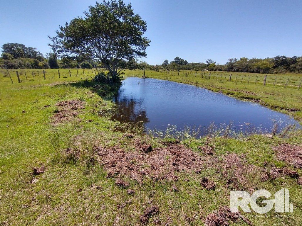 Excelente Sítio na Capital de 6.737,57 m2, Bairro Lami, Porto Alegre RS — foto 7