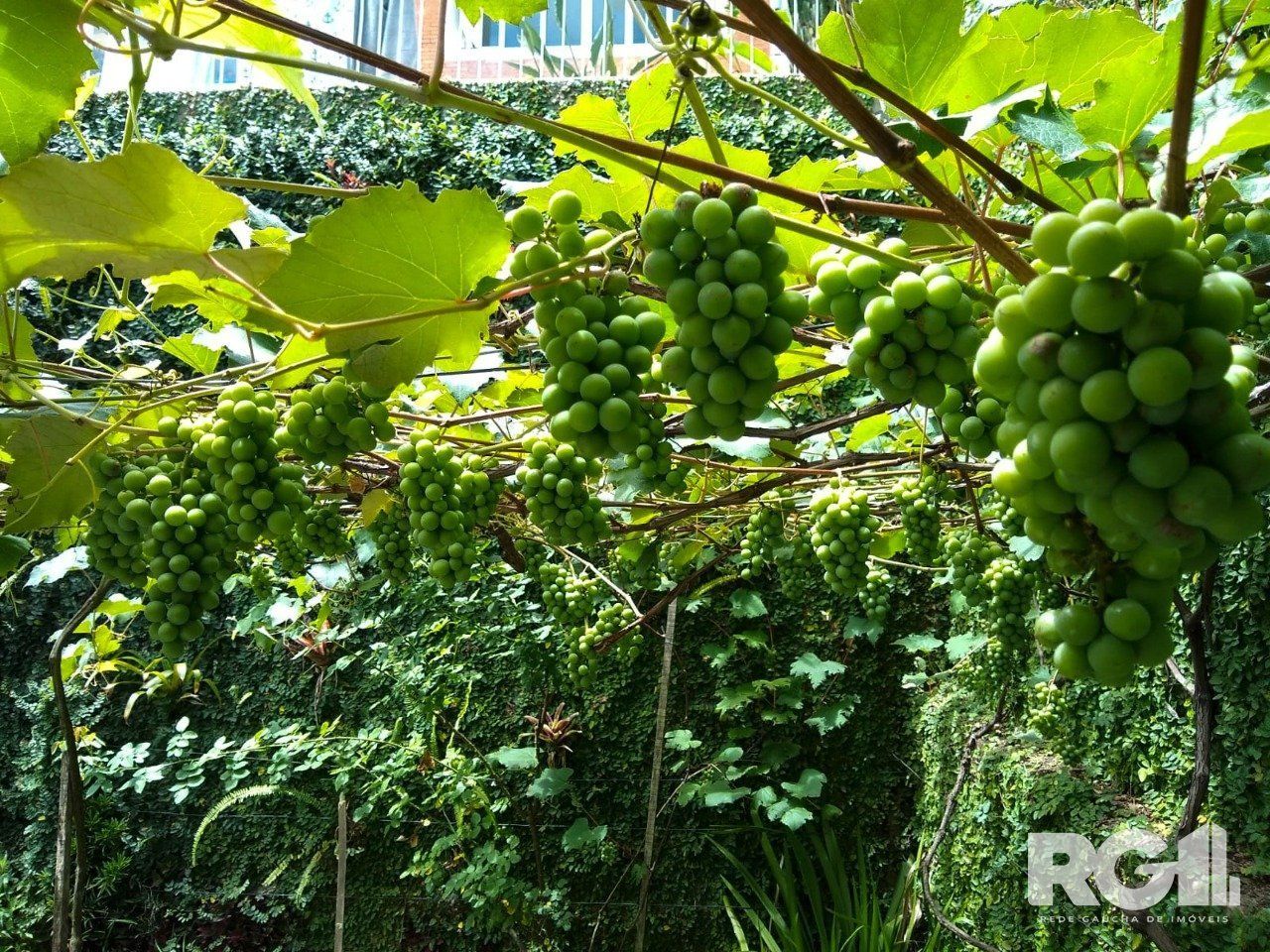 Casa na Vila Assunção — foto 46