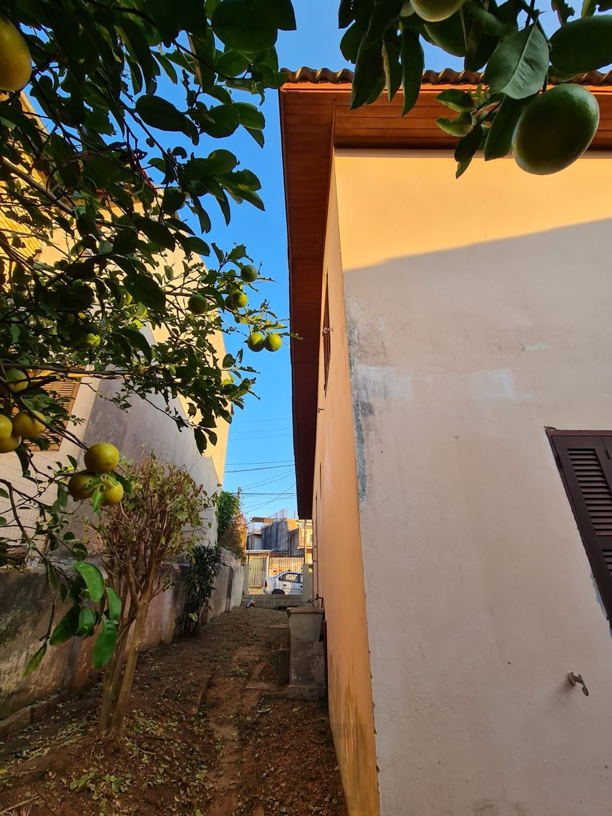 Casa no Jardim Carvalho — foto 11