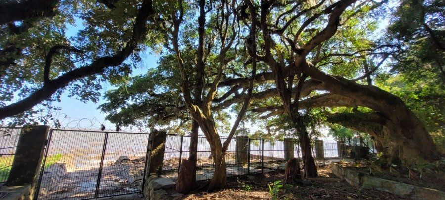 Venda Casa maravilhosa em terreno de 8.125m² com acesso ao Rio Guaiba,  na Estrada Retiro da Ponta Grossa - Porto Alegre — foto 62