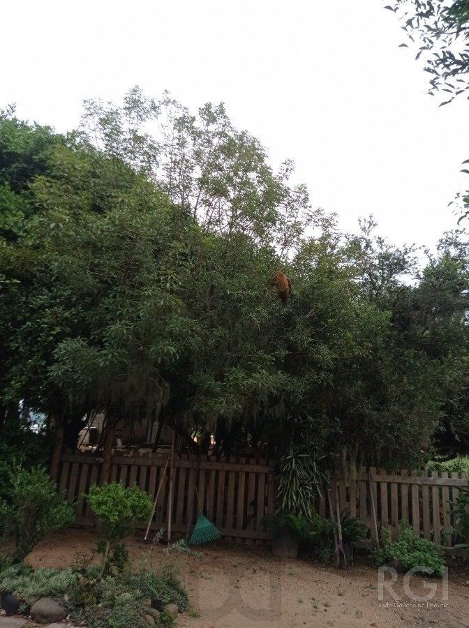 — foto 5