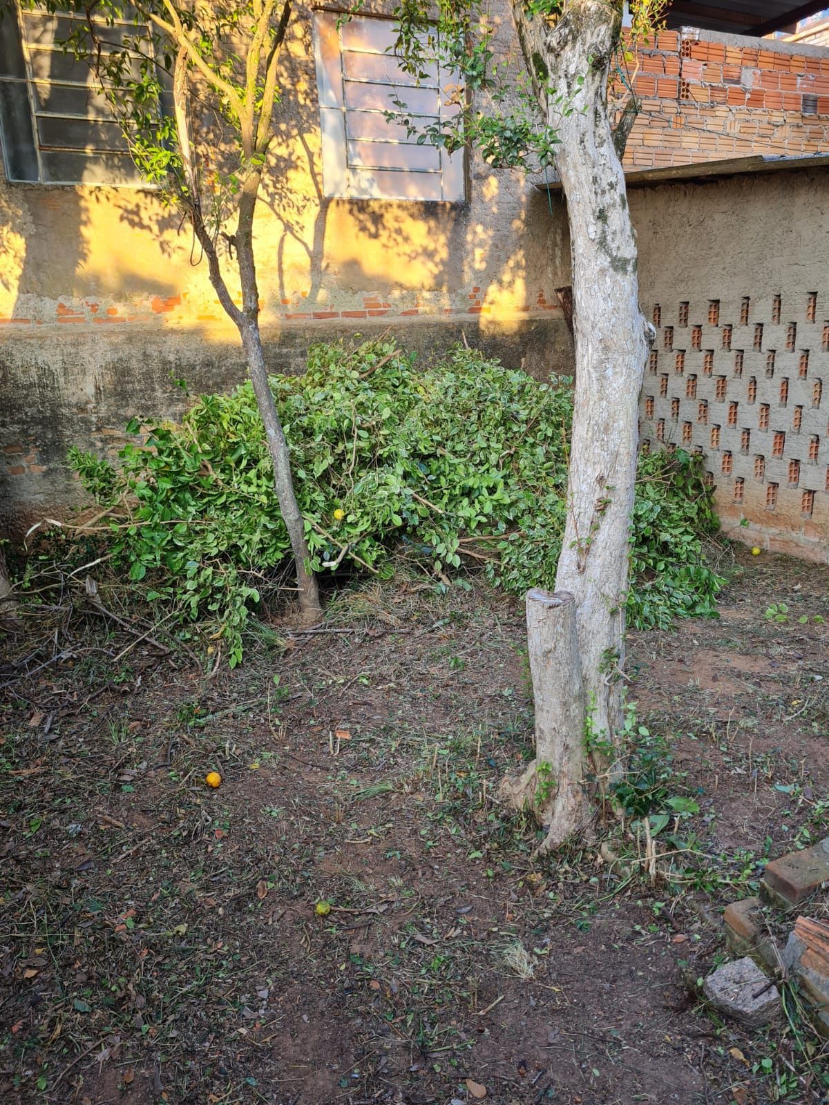 Casa no Jardim Carvalho — foto 12