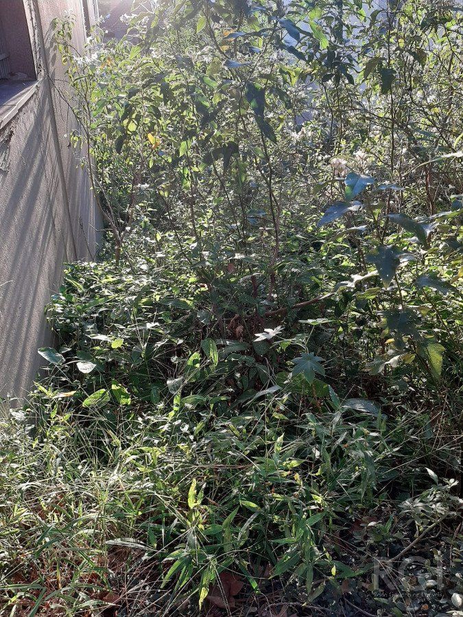 Terreno para Venda - 0m², 0 dormitórios, Rio Branco — foto 6