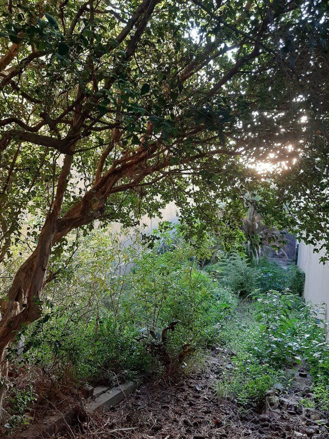 Terreno para Venda - 0m², 0 dormitórios, Rio Branco — foto 4