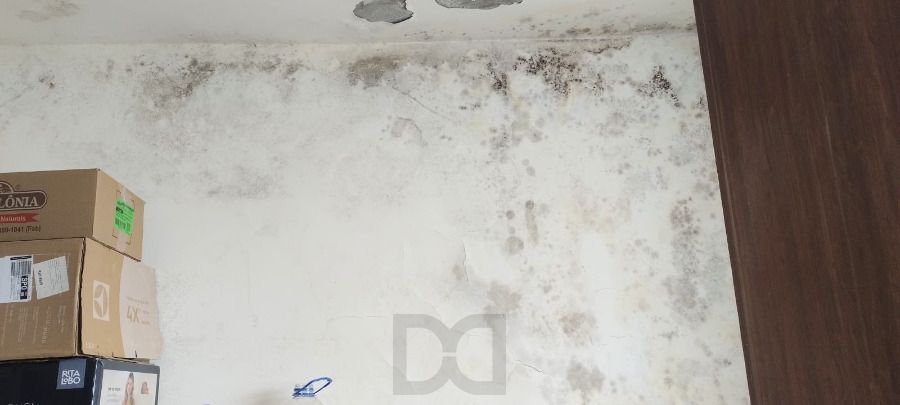 Cobertura 3 Dormitório(s) Bairro Petrópolis — foto 14