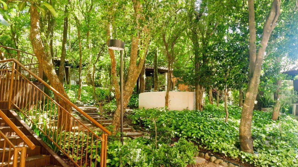 O Paraíso Verde no Coração da Cidade. Viva em meio à natureza, sem abrir mão da comodidade! — foto 23