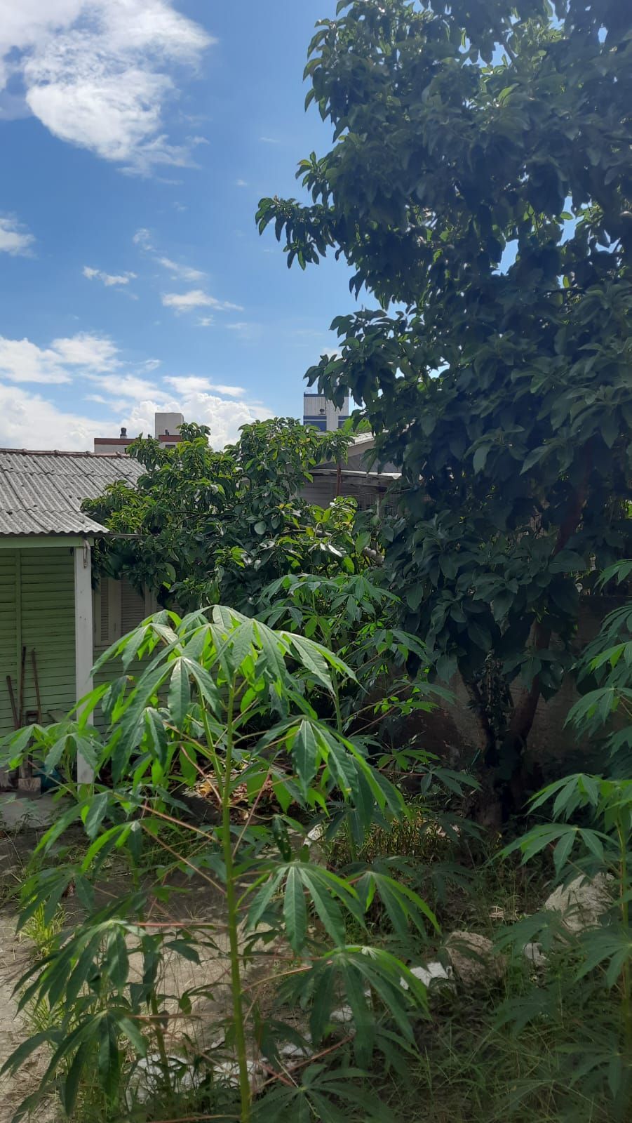 Para Quem Procura uma Casa Ampla Pronta Para Morar. — foto 36