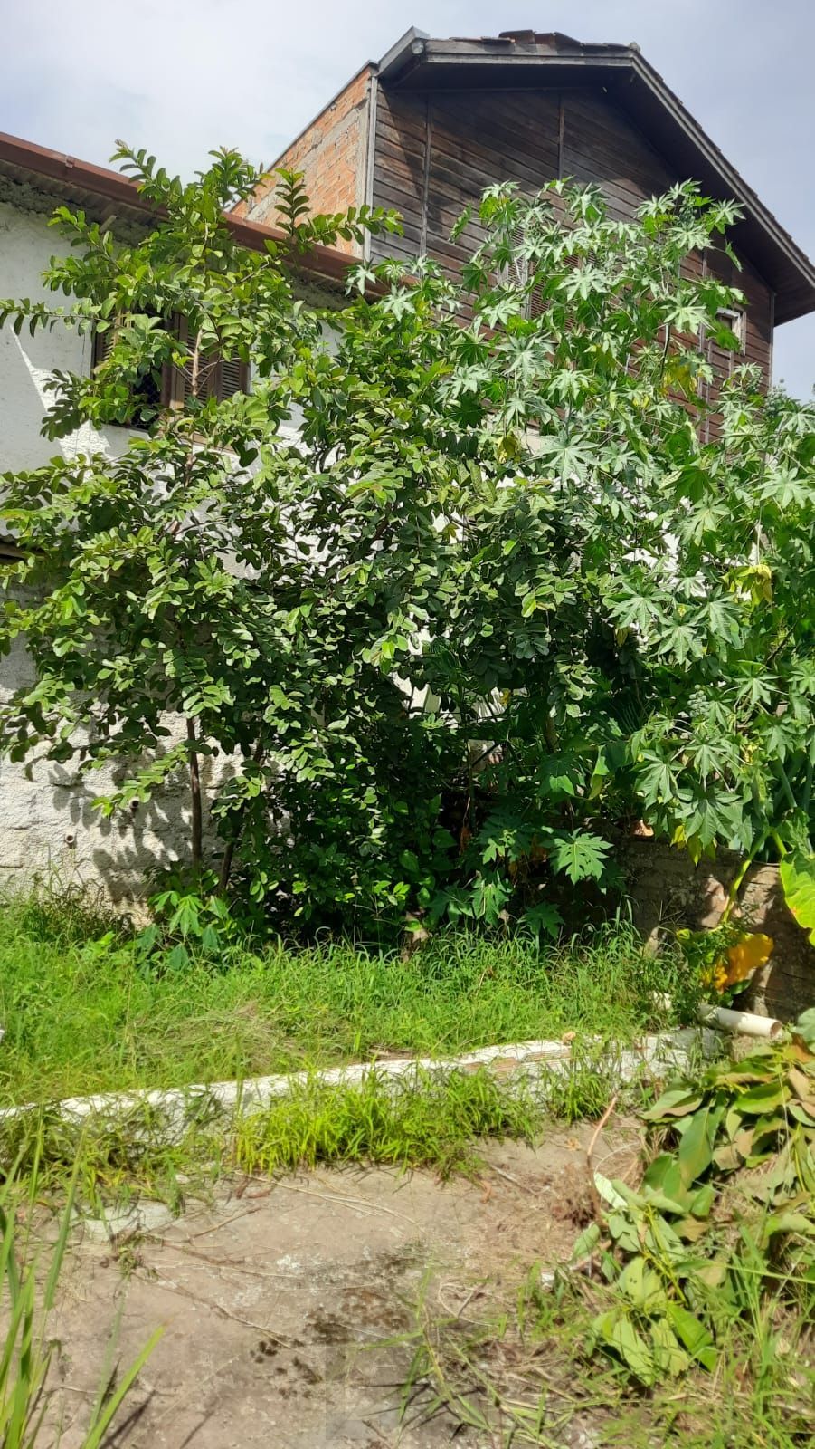 Para Quem Procura uma Casa Ampla Pronta Para Morar. — foto 33