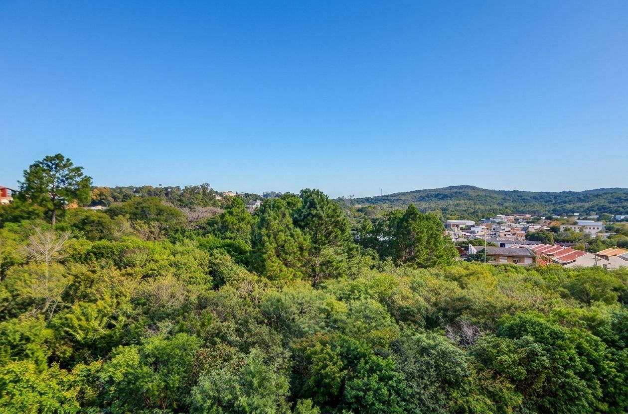 Vista Panorâmica em andar alto — foto 7