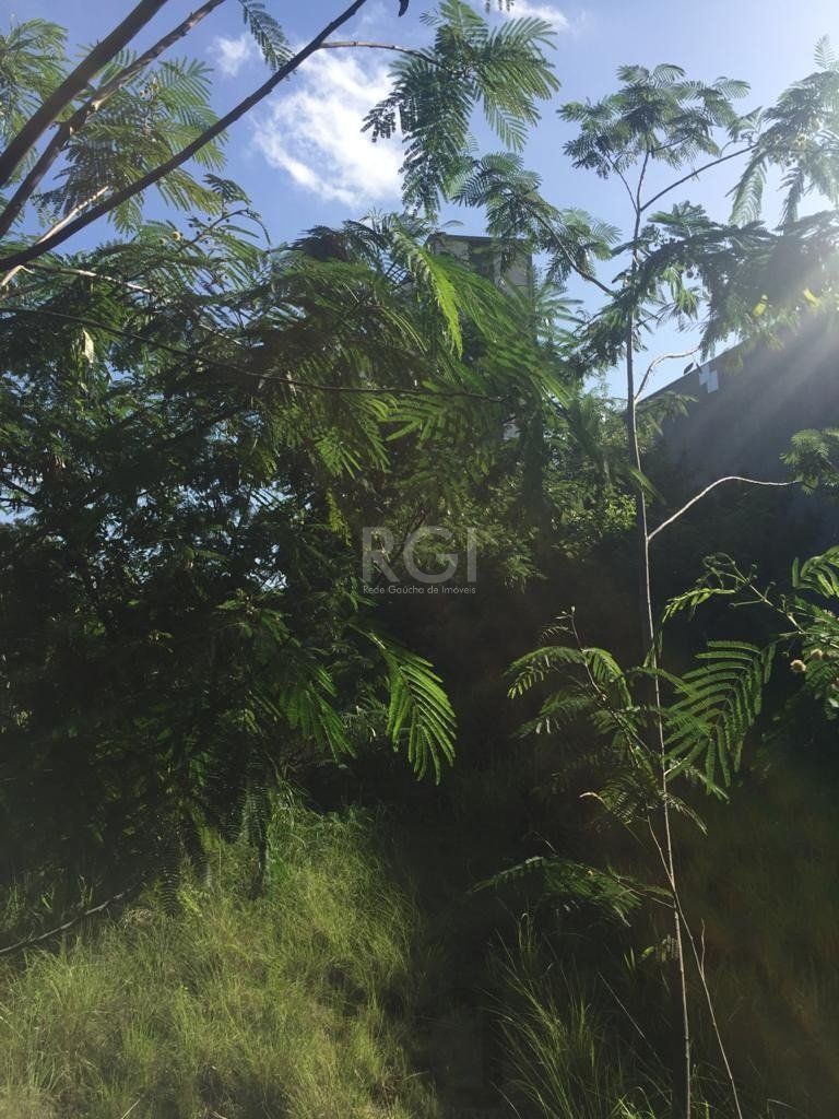 Área com mais de 6.436,89m² mil metros quadrados, em avenida principal de Porto Alegre! — foto 6