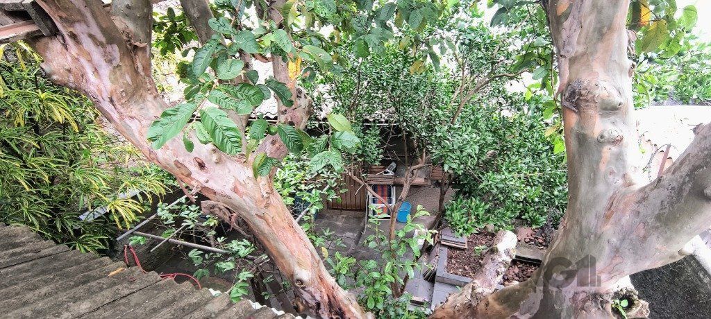 — foto 7