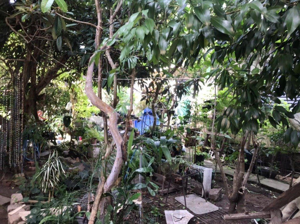Terreno para Venda - 0m², 0 dormitórios, Tristeza — foto 6