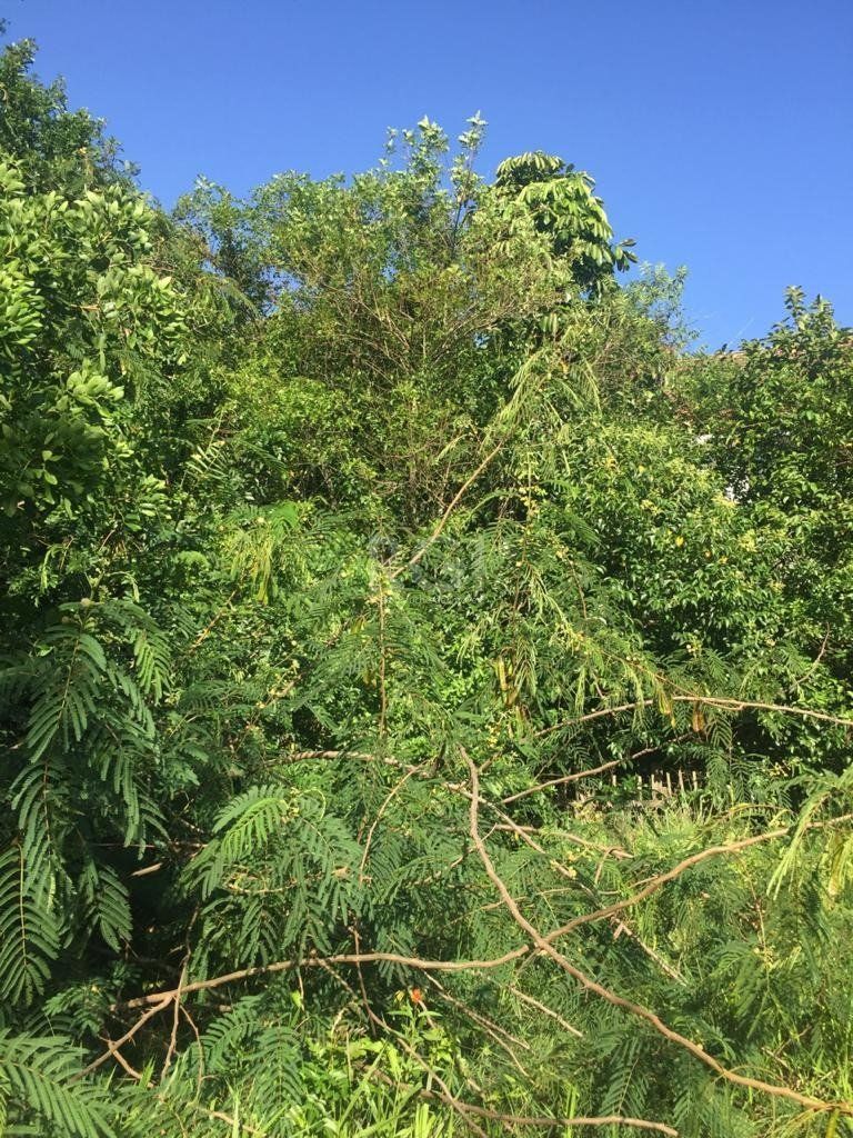 Área com mais de 6.436,89m² mil metros quadrados, em avenida principal de Porto Alegre! — foto 8
