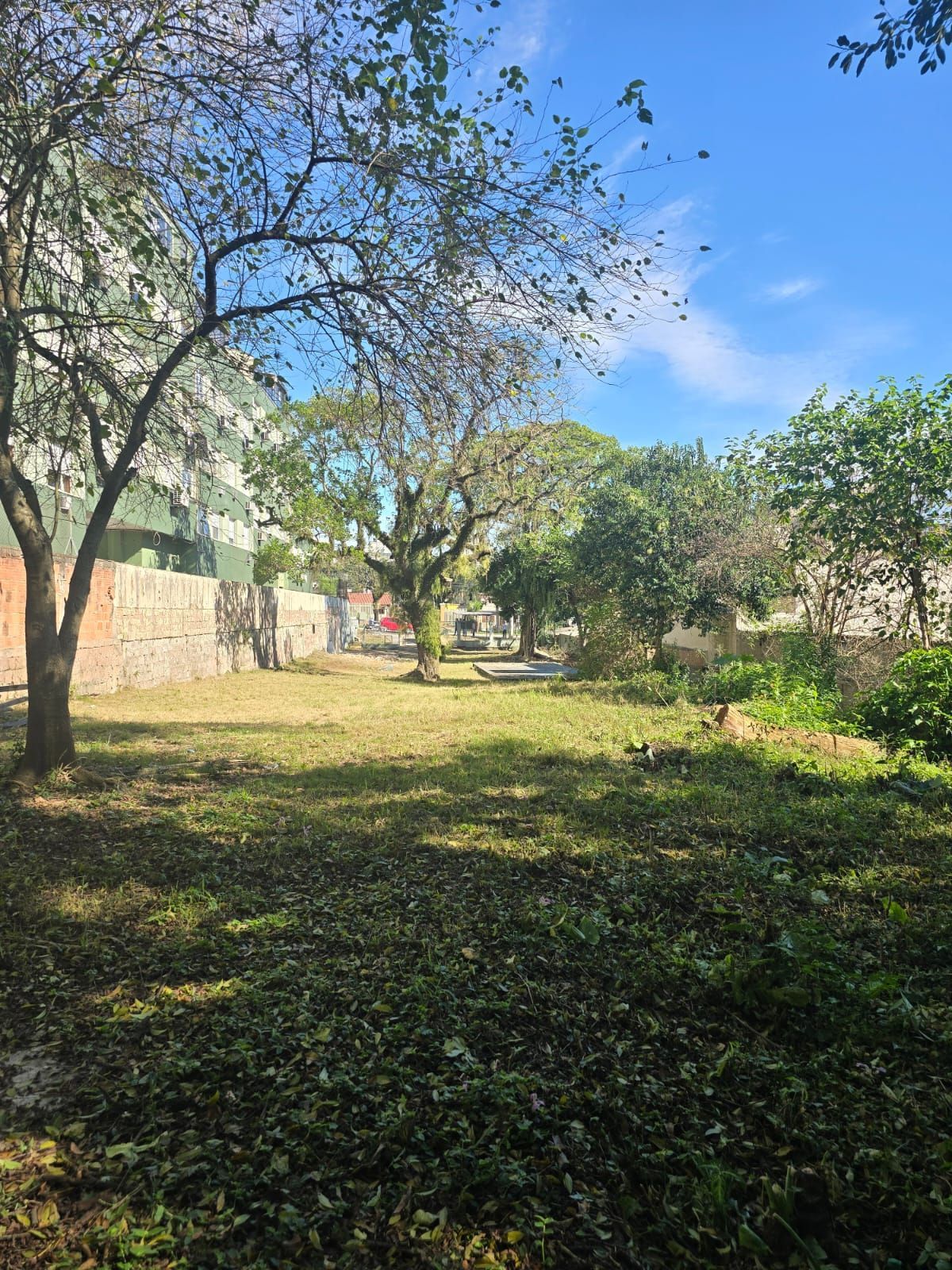 Terreno  desocupado, localizado na Rua Doutor Campos Velho — foto 4