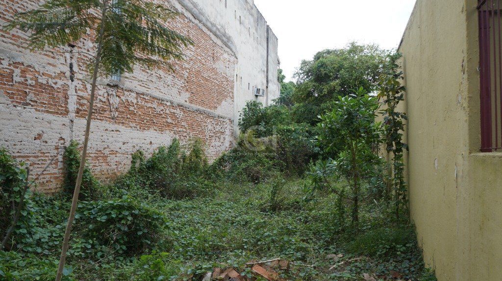 Terreno para Venda - 218m² no Bairro Floresta — foto 3