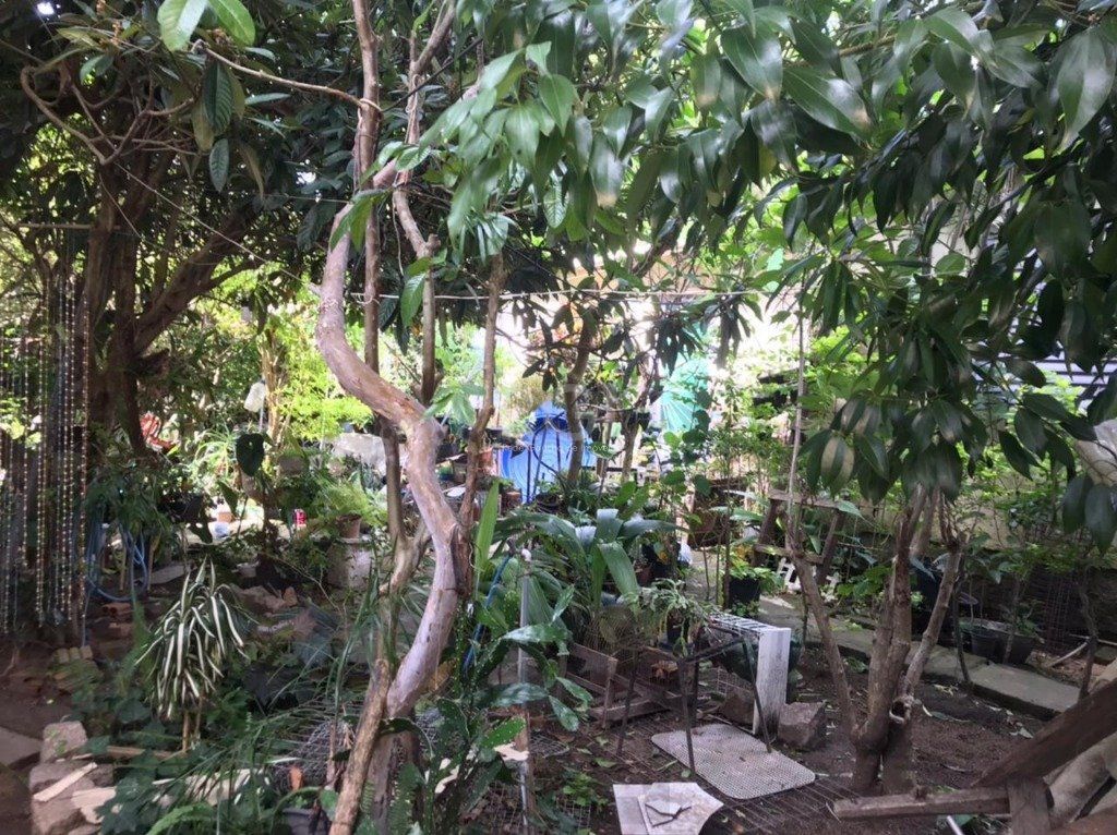Terreno para Venda - 0m², 0 dormitórios, Tristeza — foto 5