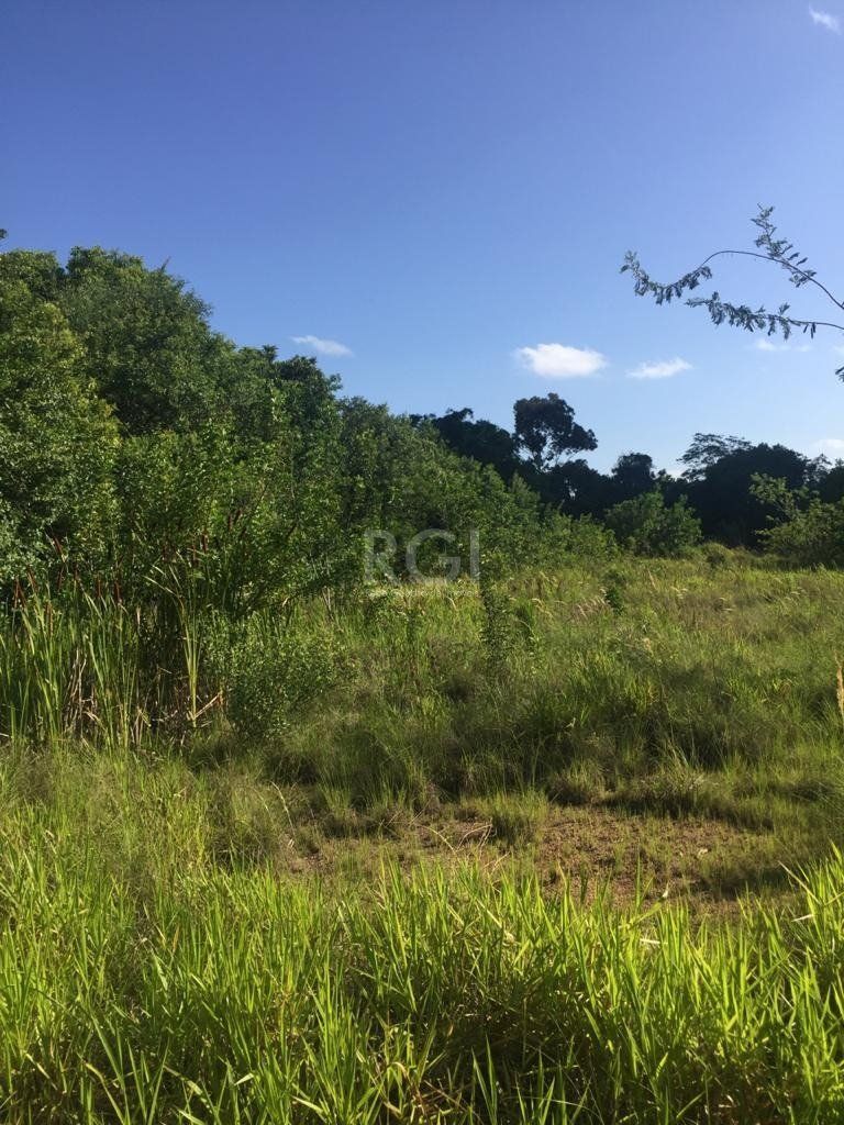Área com mais de 6.436,89m² mil metros quadrados, em avenida principal de Porto Alegre! — foto 15
