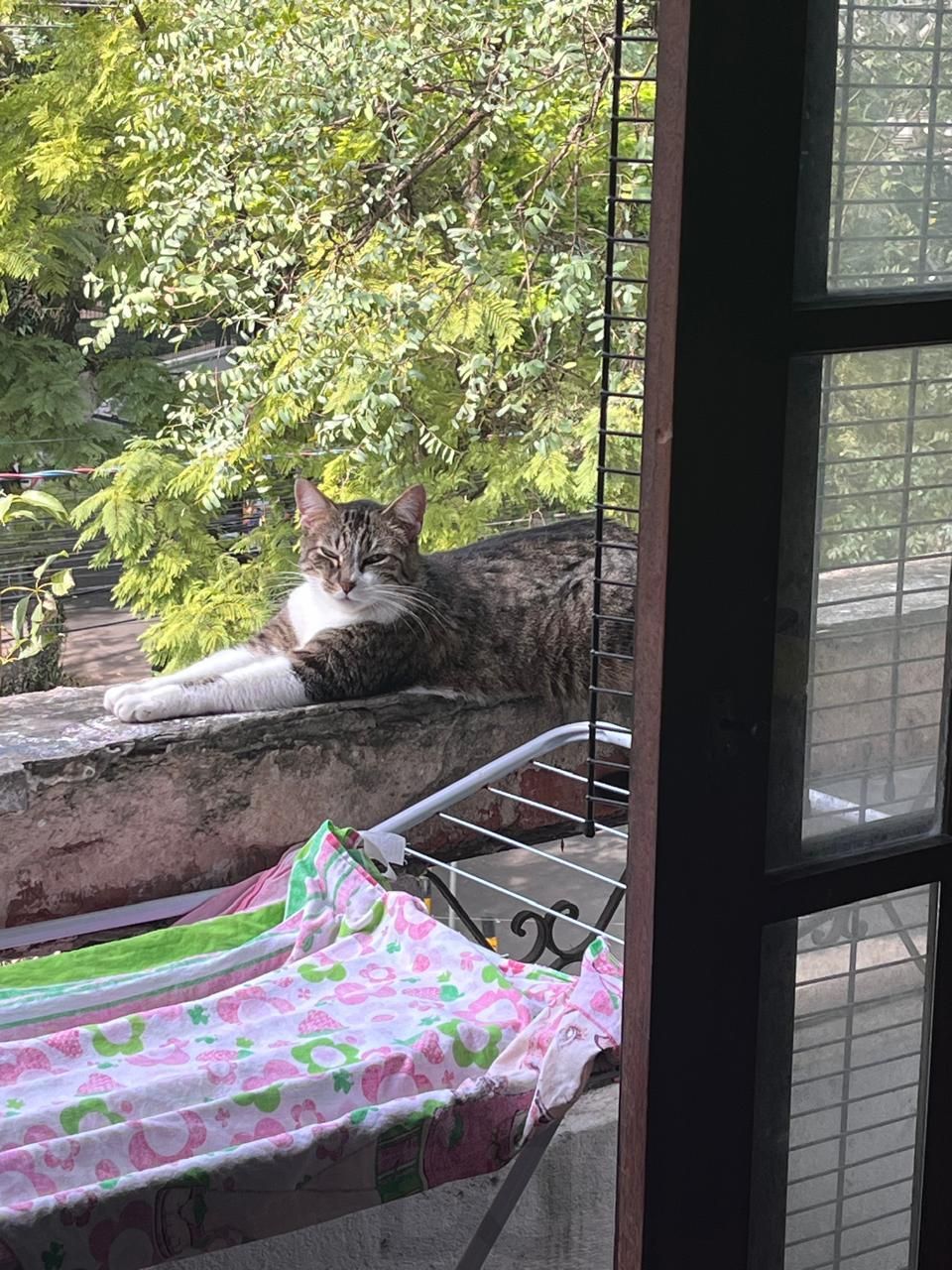 vendo apto 3 quartos moinhos de vento — foto 18