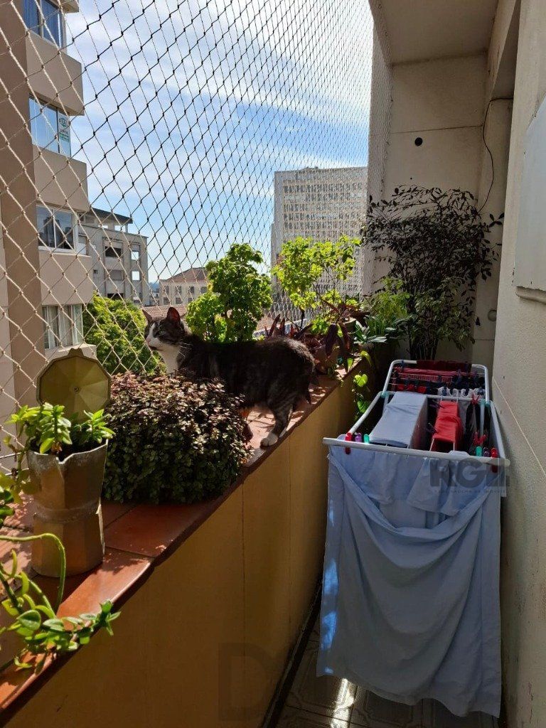 Amplo apartamento no beiro Floresta — foto 18