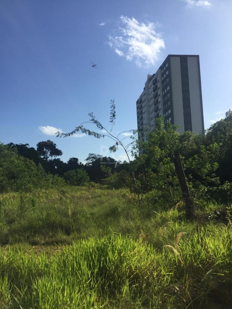 Área com mais de 6.436,89m² mil metros quadrados, em avenida principal de Porto Alegre! — foto 7