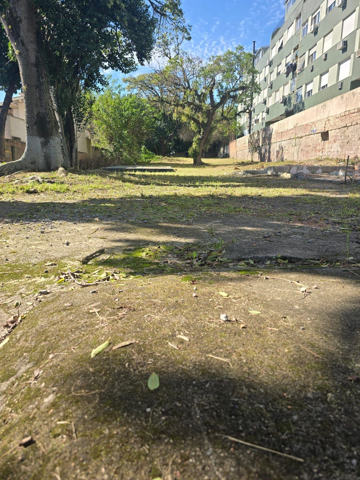 Terreno  desocupado, localizado na Rua Doutor Campos Velho — foto 7