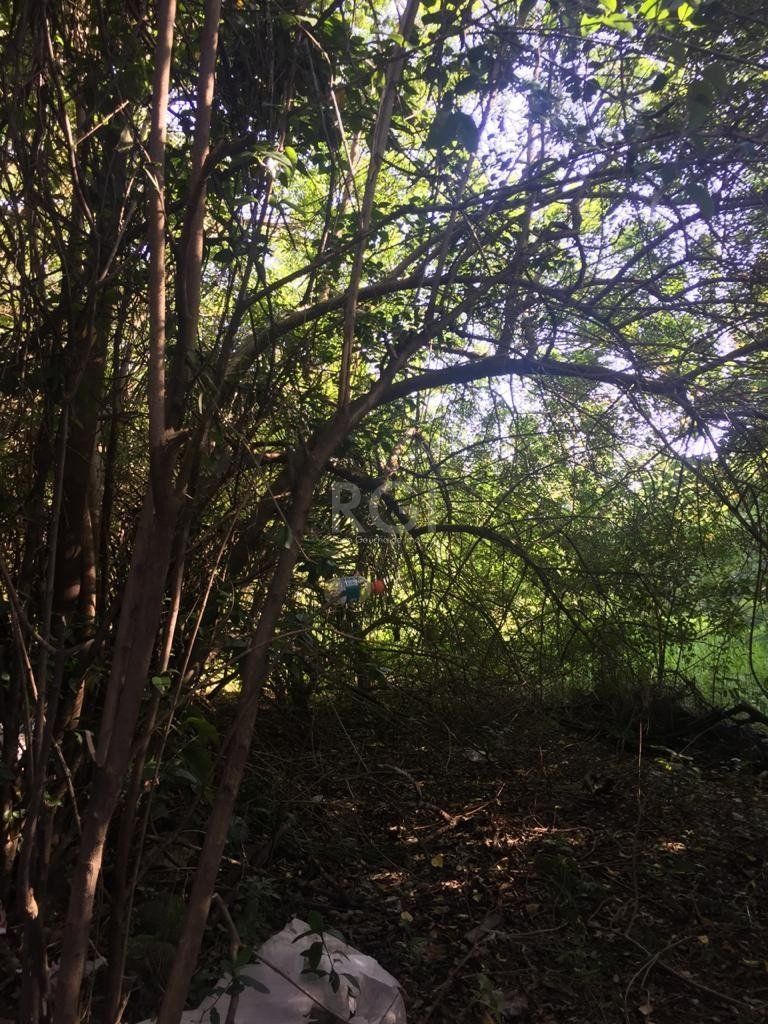Área com mais de 6.436,89m² mil metros quadrados, em avenida principal de Porto Alegre! — foto 22