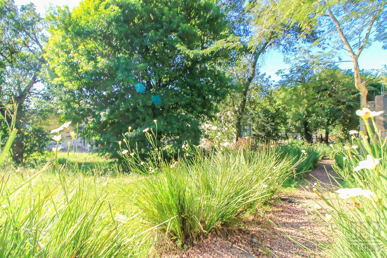 Terreno para Venda - 175m² — foto 6