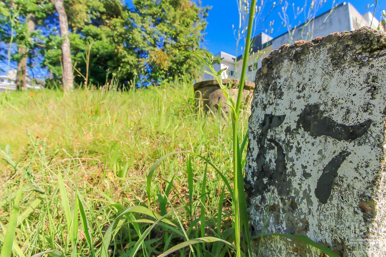 Terreno para Venda - 180m² — foto 6