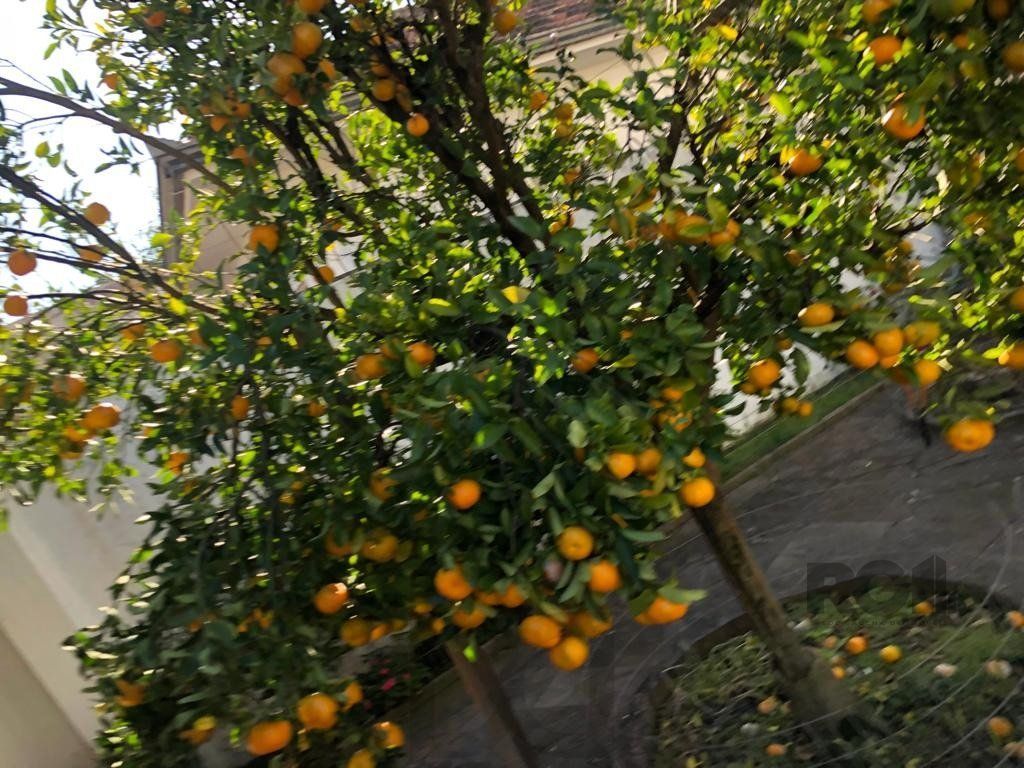 — foto 15
