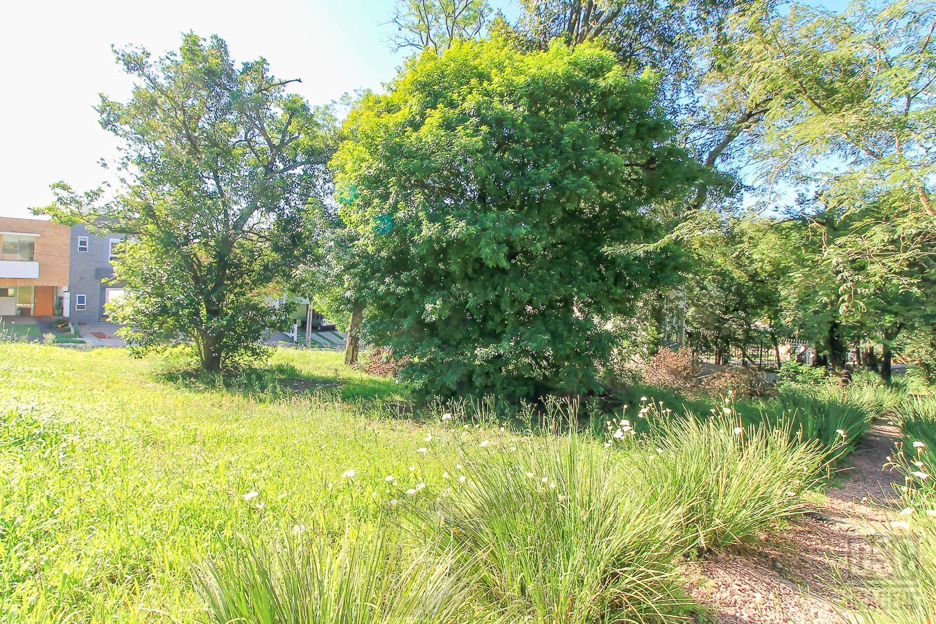Terreno para Venda - 175m² — foto 18