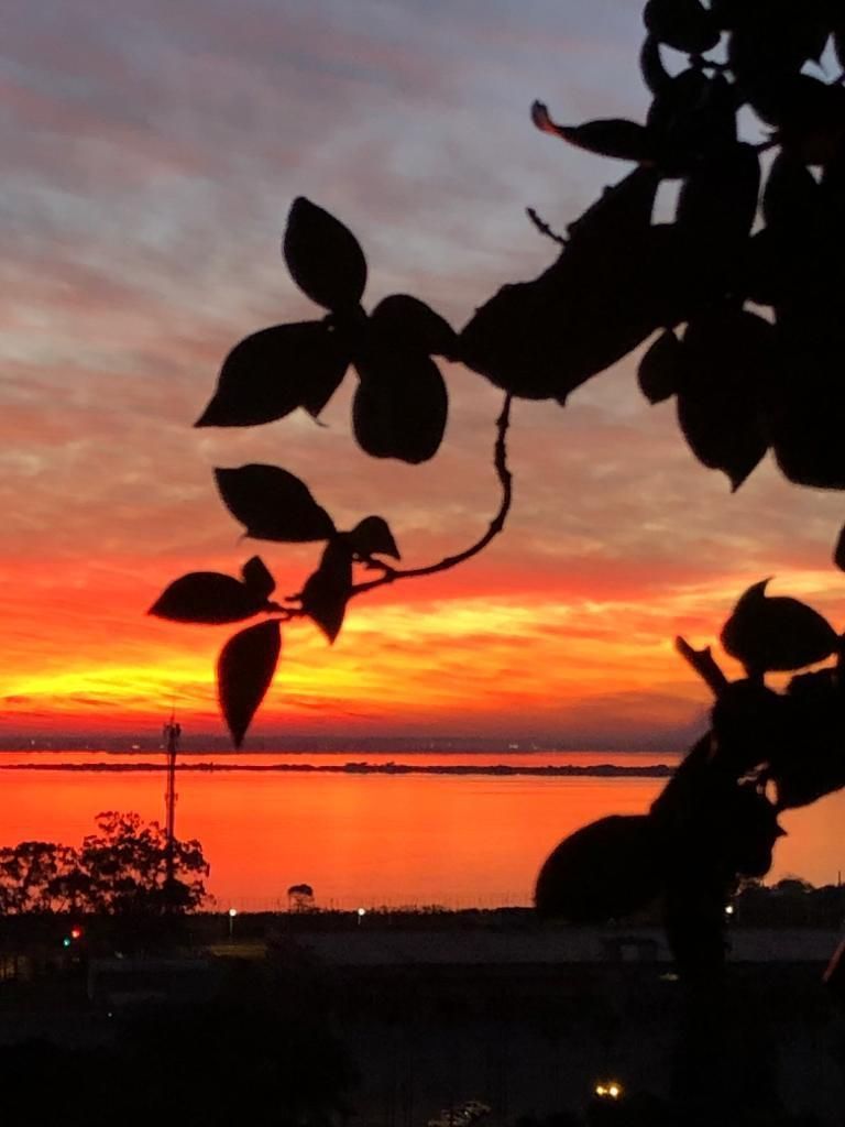 Apartamento com 3 quartos à venda na Rua Monroe, Praia de Belas, Porto Alegre — foto 5