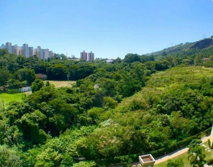 — foto 37