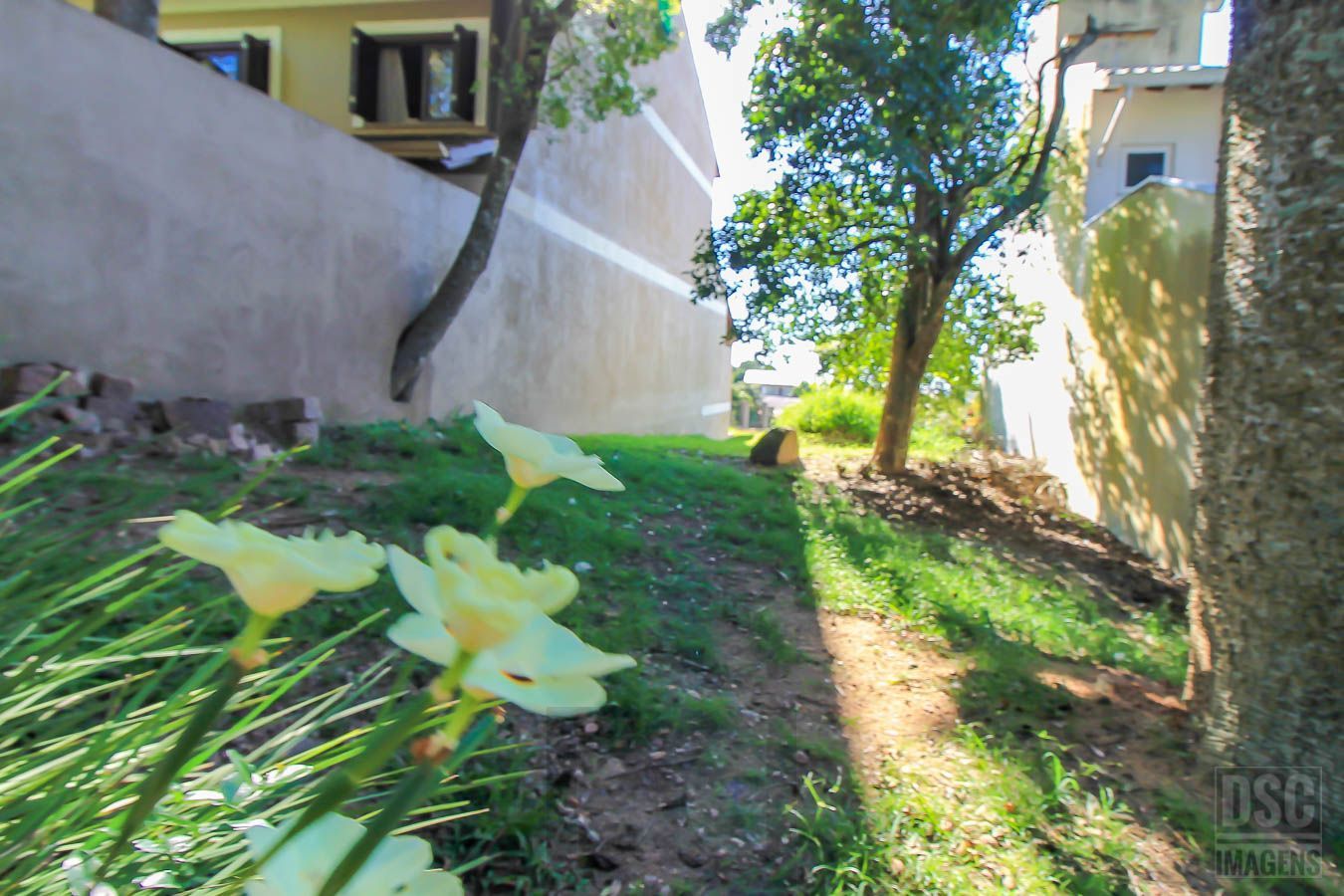 Terreno para Venda - 175m² — foto 14