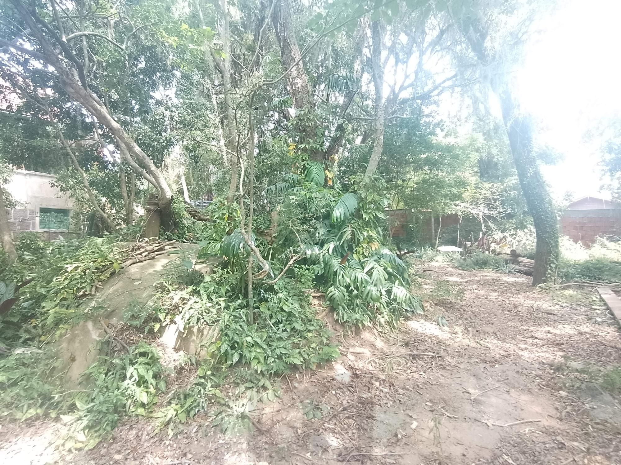 Terreno com área de 3.600m2 com 43m de margem no Rio Guaíba — foto 4