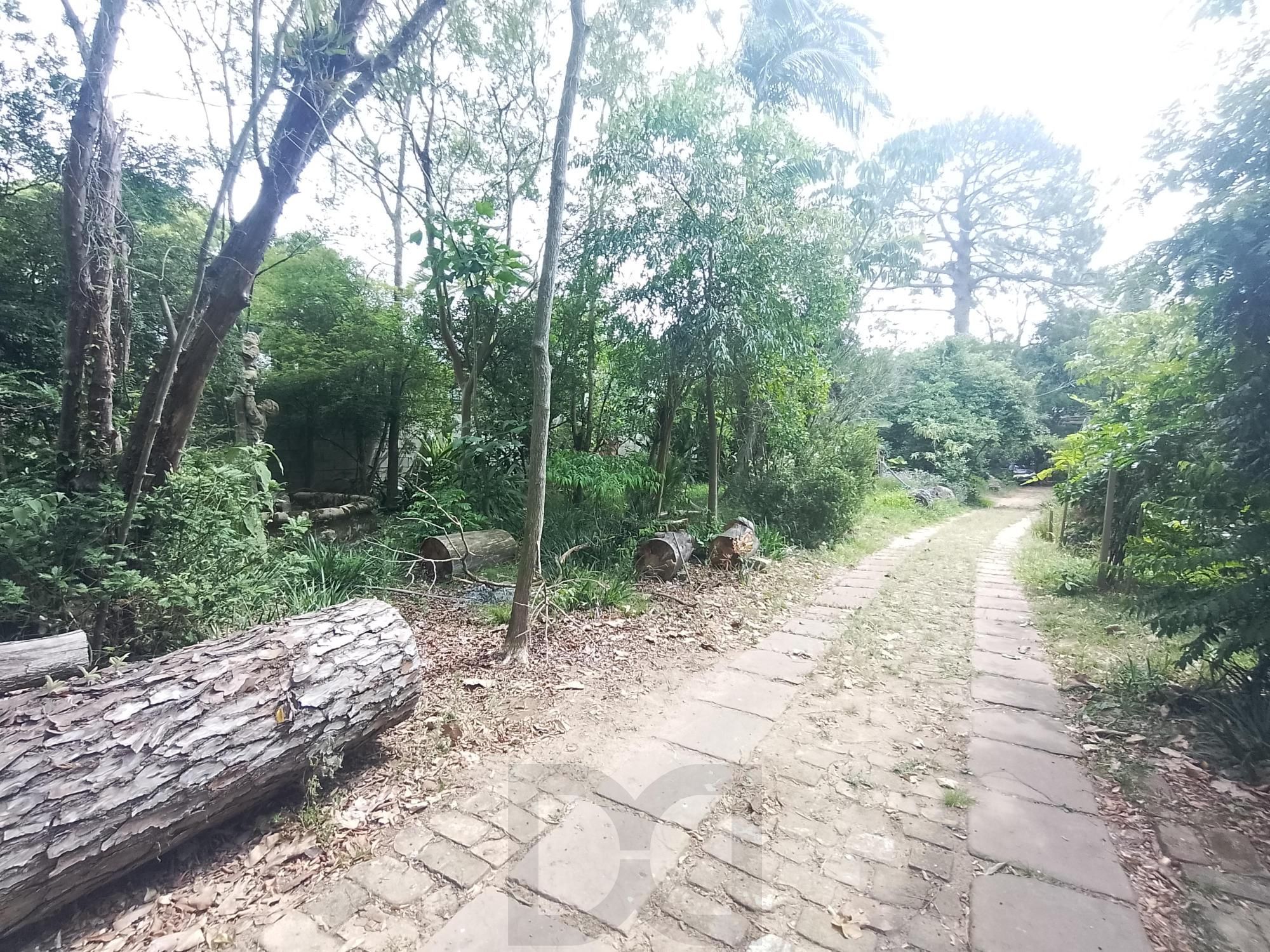 Terreno com área de 3.600m2 com 43m de margem no Rio Guaíba — foto 12
