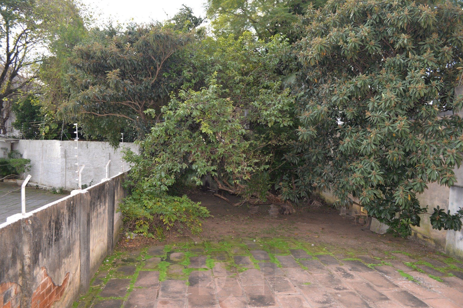 Prédio com Loja e 3 apartamentos - 470.08m², Floresta — foto 11