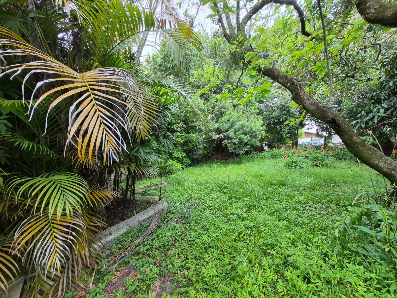 Casa 3 Dormitórios à venda com Piscina na Rua Carumbé - Porto Alegre - RS — foto 23