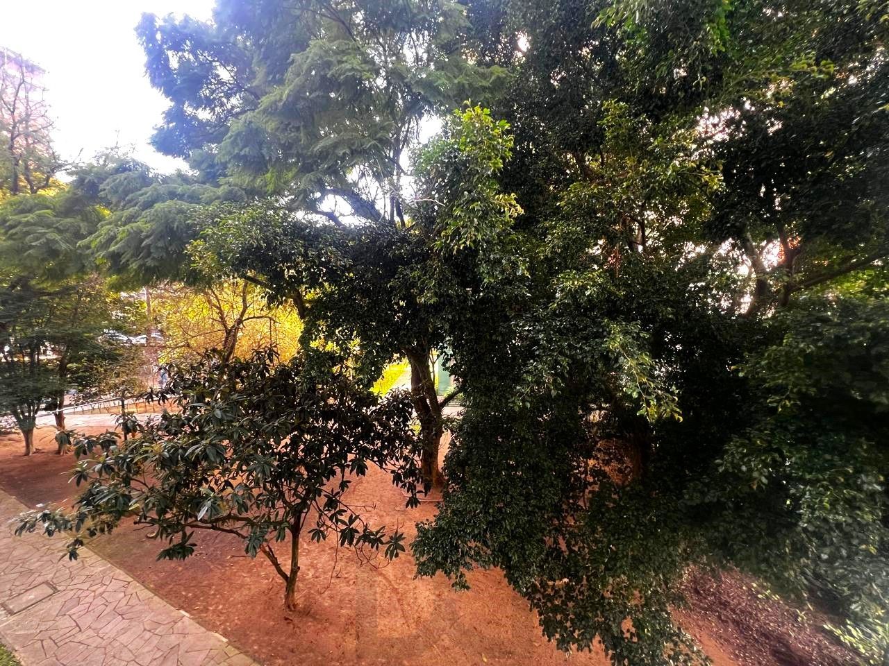 Viata