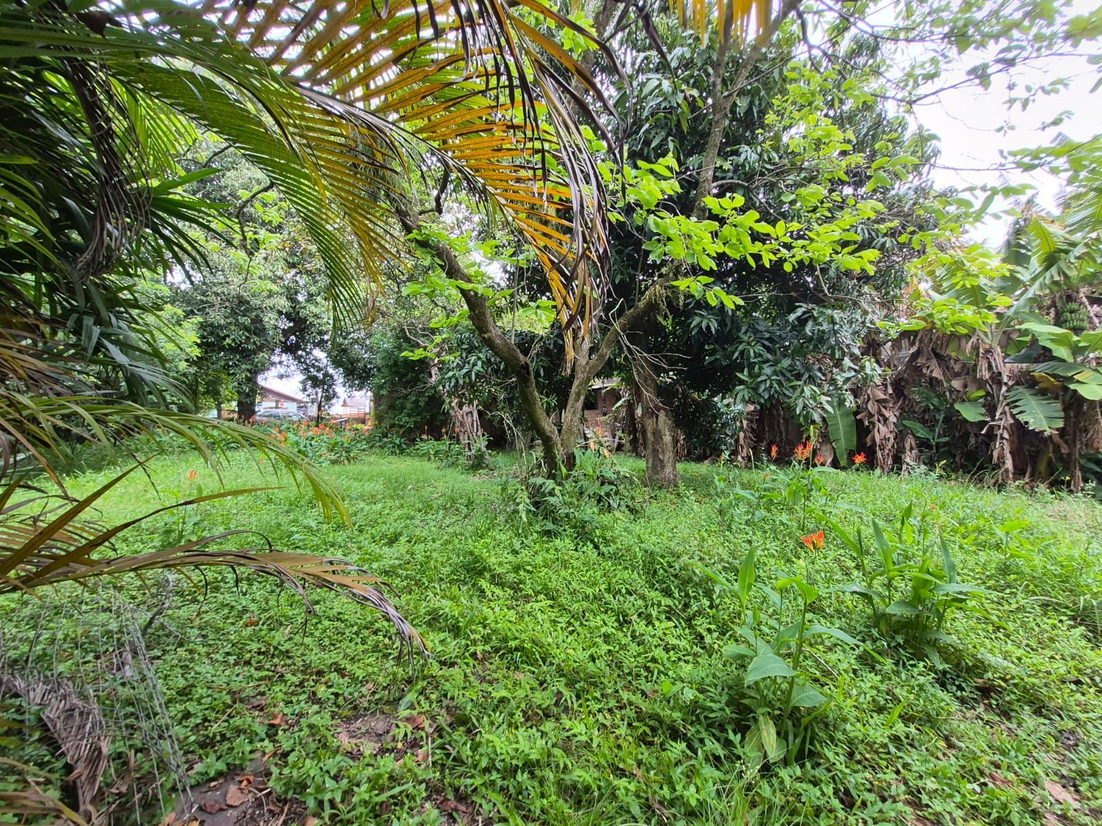Casa 3 Dormitórios à venda com Piscina na Rua Carumbé - Porto Alegre - RS — foto 21
