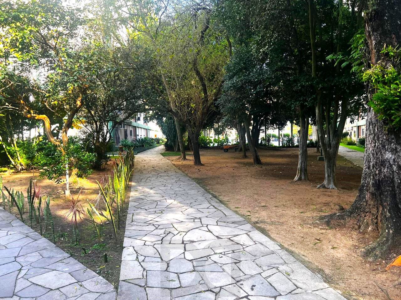 Vista