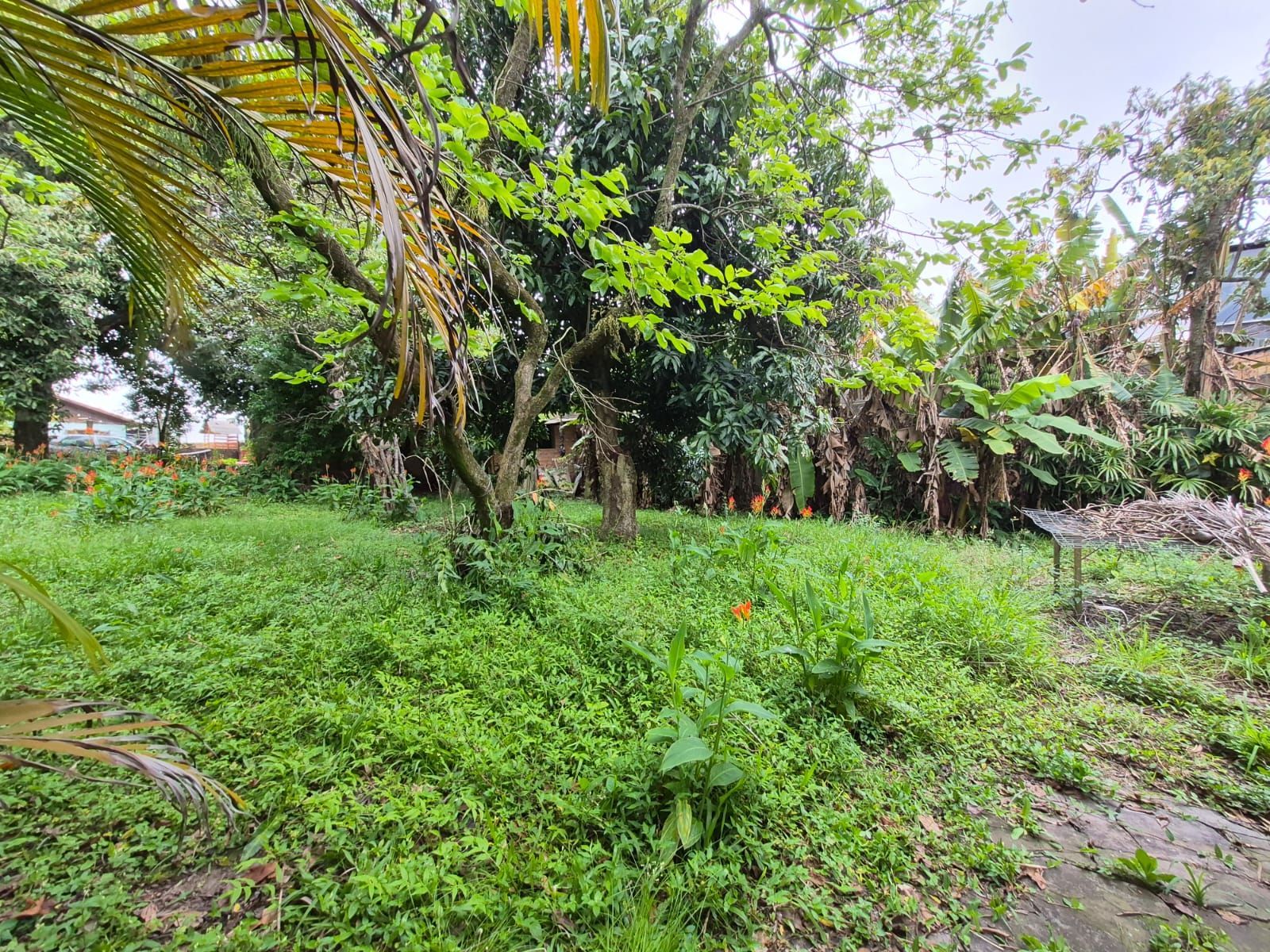 Casa 3 Dormitórios à venda com Piscina na Rua Carumbé - Porto Alegre - RS — foto 24
