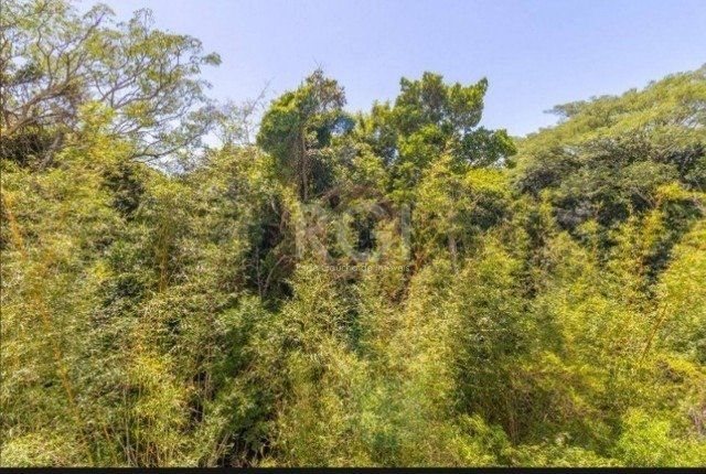 Apartamento para Venda - 45.35m², 2 dormitórios, 1 vaga - Morro Santana — foto 4
