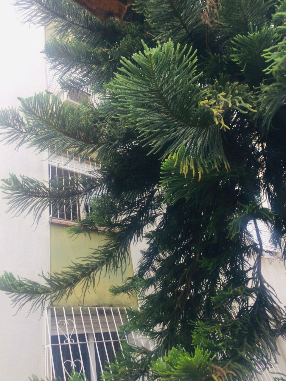 — foto 23